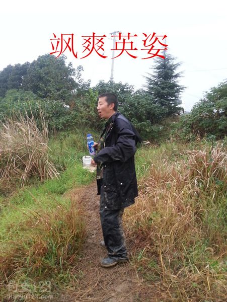 秋季钓鲫鱼