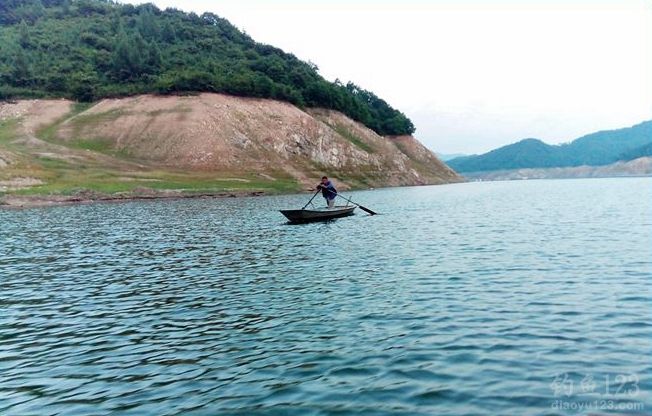再次垂钓水丰湖鱼获颇丰