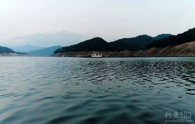 再次垂钓水丰湖鱼获颇丰