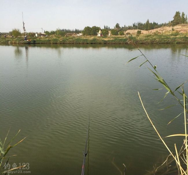 甘肃敦煌南湖风景