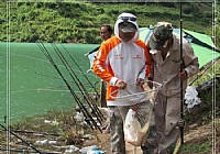 水库使用翻板钩钓法钓获鲶鱼鲢鱼鲫鱼各一条