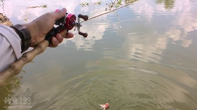 筏钓鲤鱼