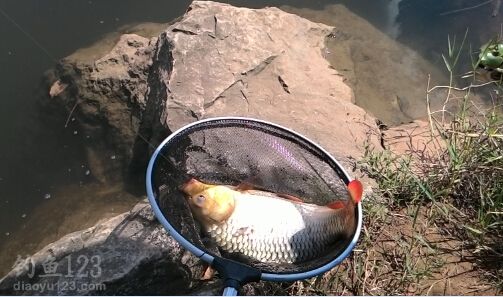 筏钓技巧