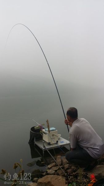 钓鲢鱼