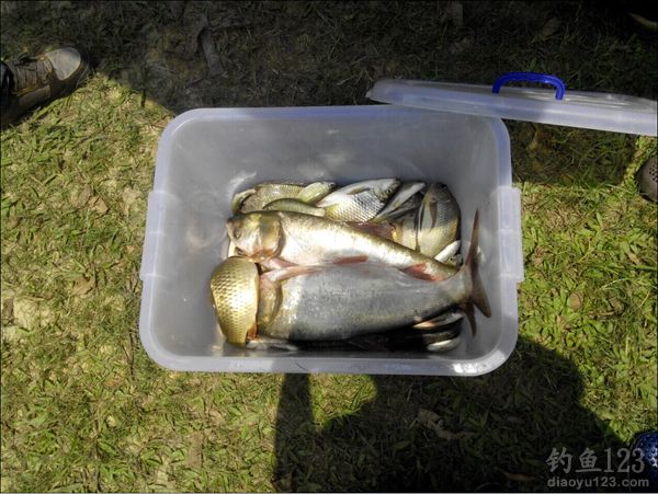 最后渔获