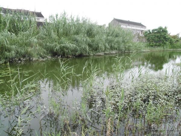野钓