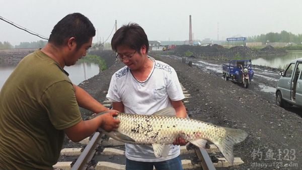 和大草鱼合影