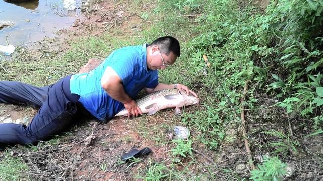 水库钓大鲤鱼