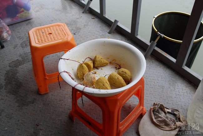 海竿爆炸钩鱼饵