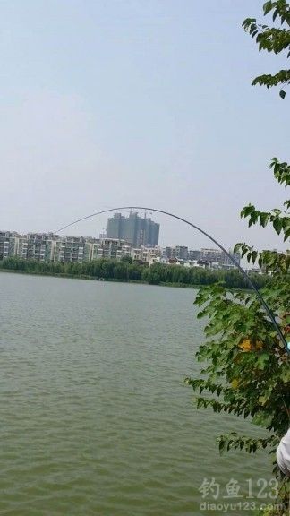 水库钓大鱼