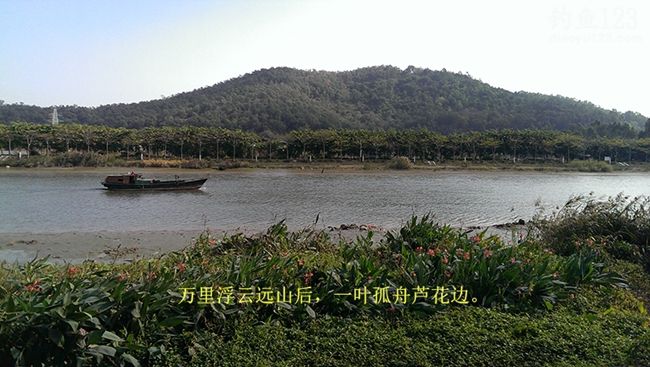 冬季新竿试钓老牛钓场钓上性感迷人的大板鲫鱼