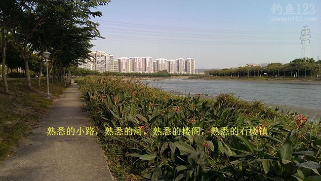 冬季新竿试钓老牛钓场钓上性感迷人的大板鲫鱼