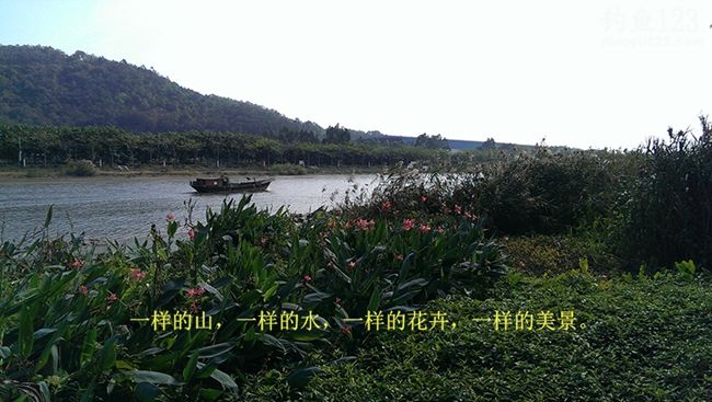 冬季新竿试钓老牛钓场钓上性感迷人的大板鲫鱼