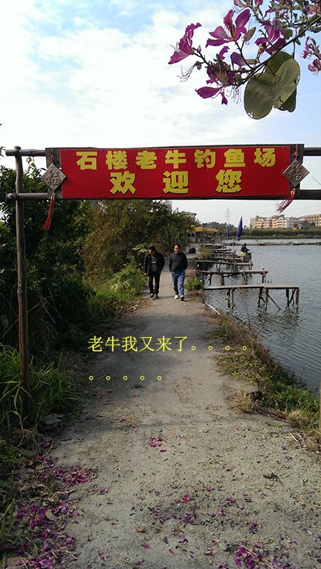 冬季新竿试钓老牛钓场钓上性感迷人的大板鲫鱼