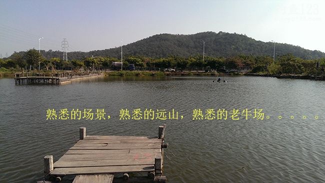 冬季新竿试钓老牛钓场钓上性感迷人的大板鲫鱼