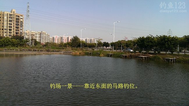冬季新竿试钓老牛钓场钓上性感迷人的大板鲫鱼