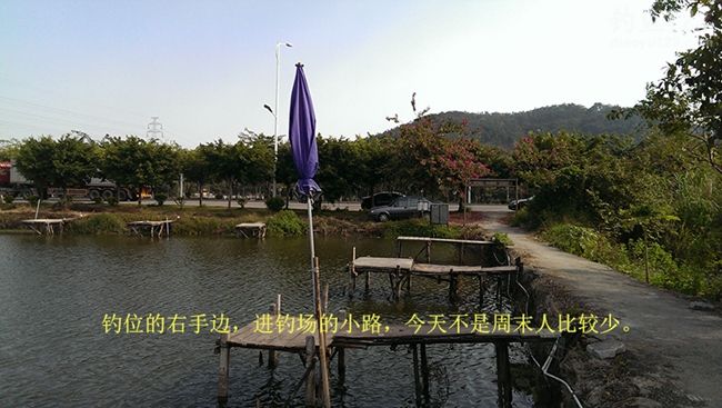 冬季新竿试钓老牛钓场钓上性感迷人的大板鲫鱼