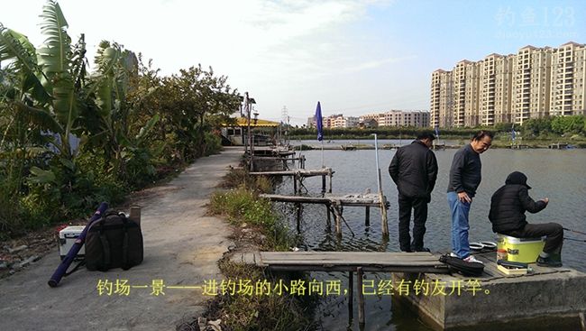 冬季新竿试钓老牛钓场钓上性感迷人的大板鲫鱼
