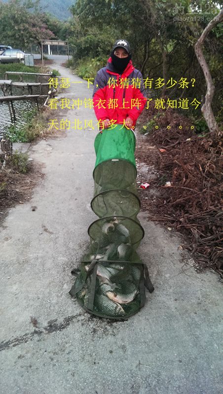 冬季新竿试钓老牛钓场钓上性感迷人的大板鲫鱼