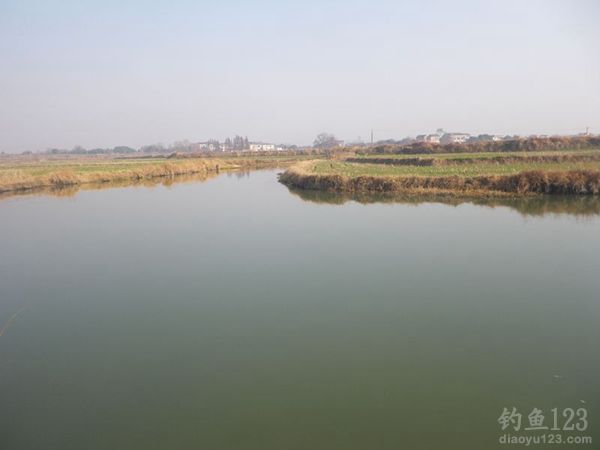与钓友一起野塘冬钓鲫鱼在娱不在鱼