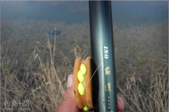 大风天用红虫钓饵怎样钓鲤鱼技巧