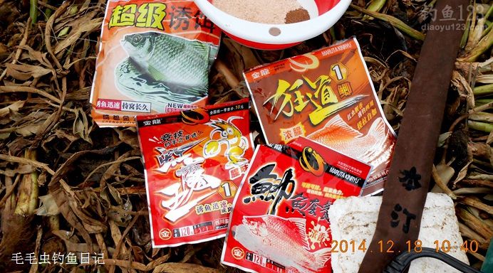 野河草洞垂钓鱼儿连连上钩笑开颜