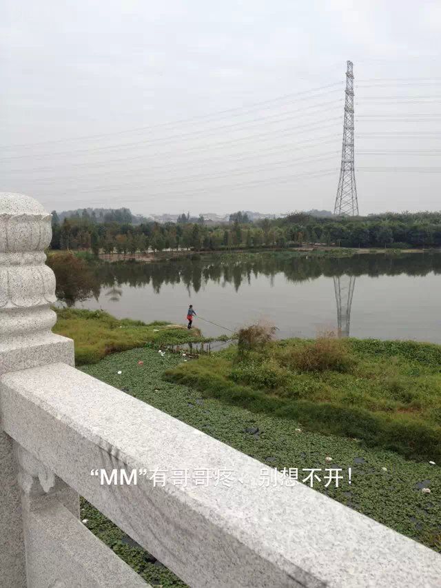 外出垂钓东莞生态园钓获鲫鱼MM