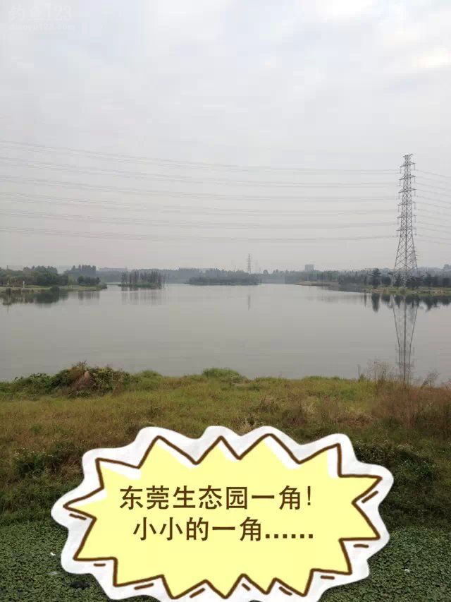 外出垂钓东莞生态园钓获鲫鱼MM