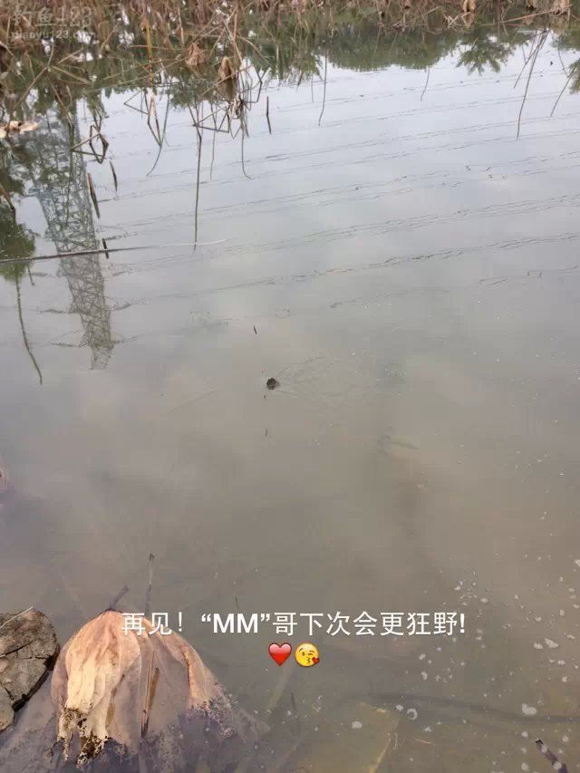 外出垂钓东莞生态园钓获鲫鱼MM