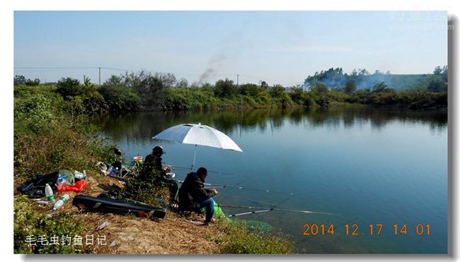 野外垂钓淡水湖罗非纷纷来报到