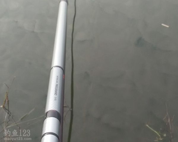 达瓦鱼竿