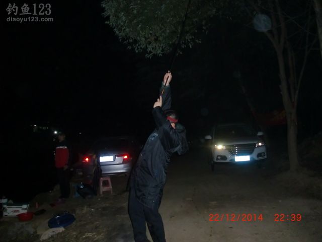 冬至夜钓野河鲫鱼连连上钩喜开颜