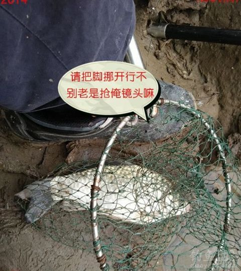 冬季大河钓鱼同窝坚守三天挨冻受饿心也甘