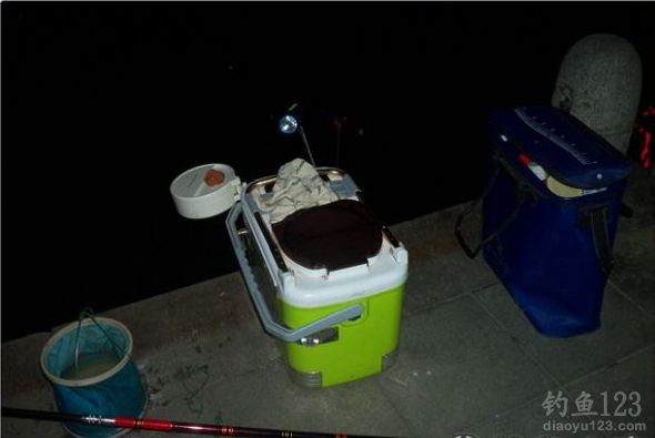 冬季夜钓苦等坚守最终钓获野生鲤鱼