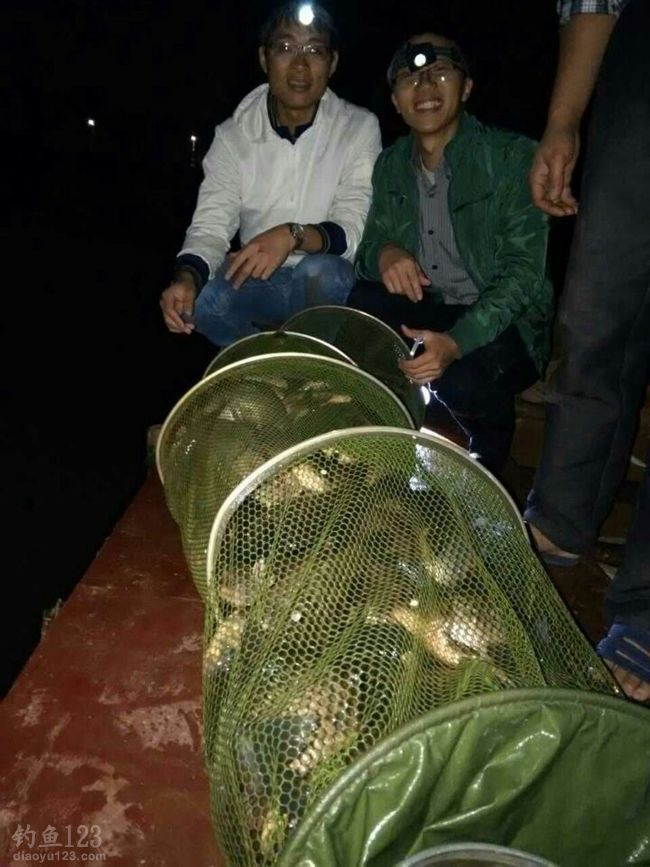 夜钓初战山海王1500斤鲫鱼随便钓