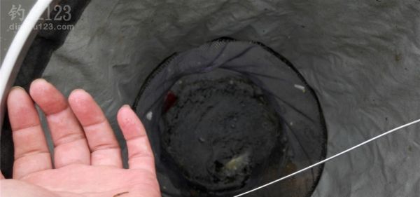 河边野钓风好水好鱼更好鱼货爆满盆