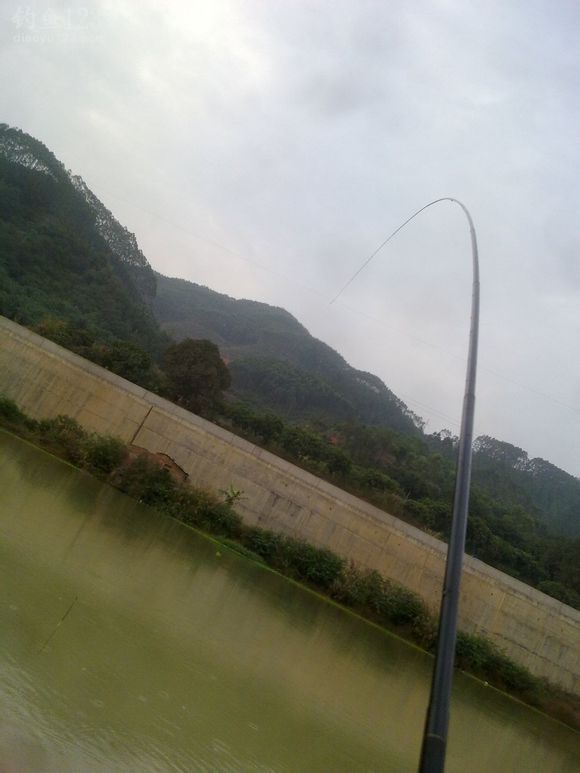 野钓鲶鱼