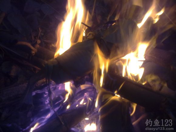 野外钓鱼烤鱼的做法