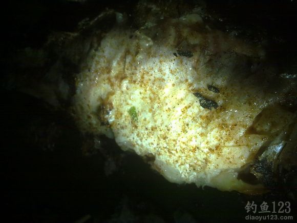 野外钓鱼烤鱼的做法