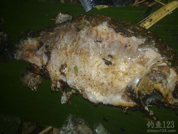野外钓鱼烤鱼的做法