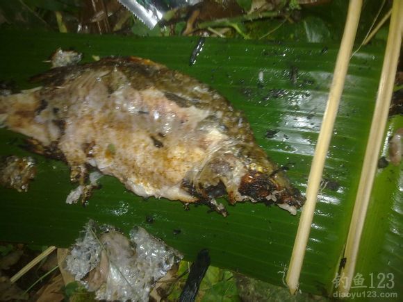 野外钓鱼烤鱼的做法