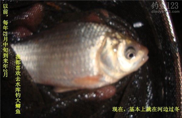 安昌河畔冬季钓鱼小有收获