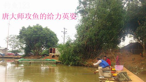 冬季赌塘爽钓巨型罗非鱼
