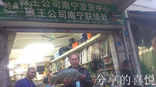 冬季赌塘爽钓巨型罗非鱼
