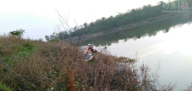 冬季垂钓小水库收获纯野生大板鲫鲤鱼