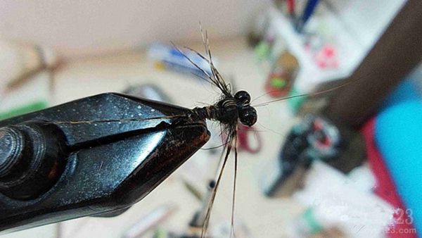 秋季桂林仙人潭野钓时爆连狂拉