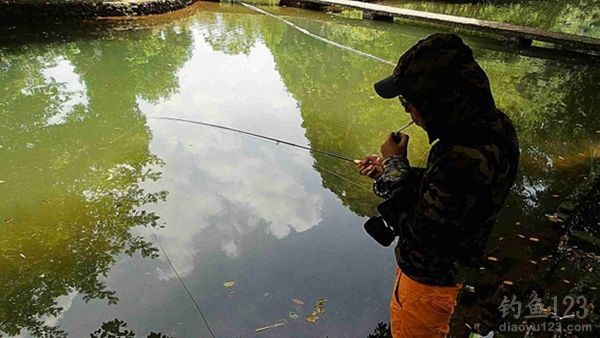 秋季桂林仙人潭野钓时爆连狂拉