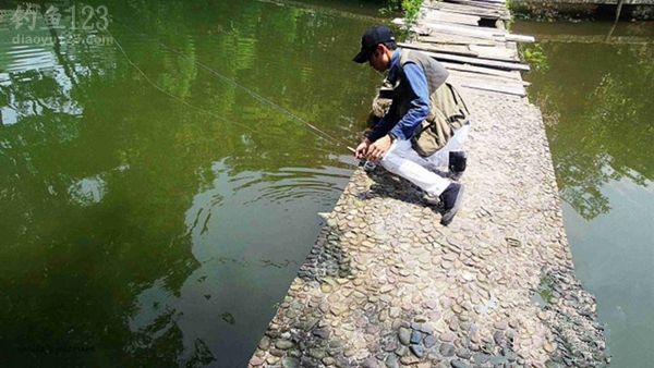 秋季桂林仙人潭野钓时爆连狂拉