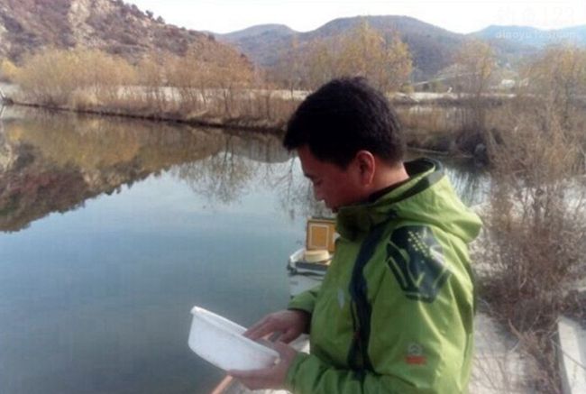 钓竿线组巧搭配顺利擒拿人工湖红鲤鱼