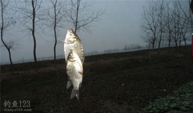 冬季出钓野河一日行，风吹雪飘怡然自得